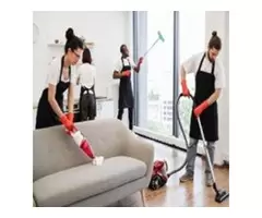 How to Prepare for Spring Cleaning? - Alligator Cleaning