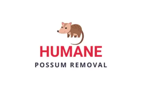 Humane Possum Removal