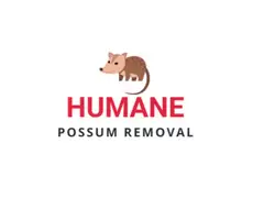 Humane Possum Removal