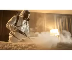 Morris Bed Bug Control Brisbane