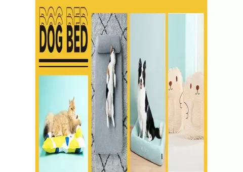 The Best Dog Bed for Cats with Skin Conditions