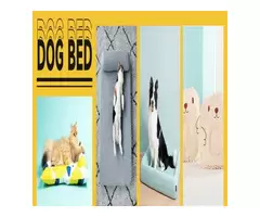 The Best Dog Bed for Cats with Skin Conditions