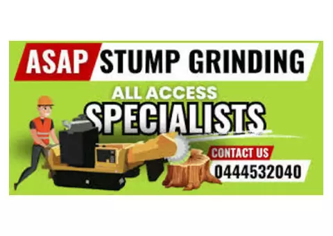 Expert Tree and Stump Removal Services on the Gold Coast