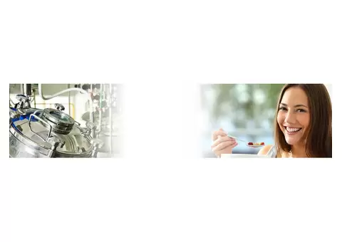 How Modified Starch Machinery Drives Efficiency and Profitability