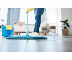 Lotus Cleaning Brisbane