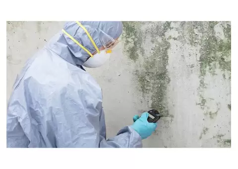 Mould Experts Canberra - 2/2