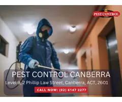Residential Pest Control Near Me