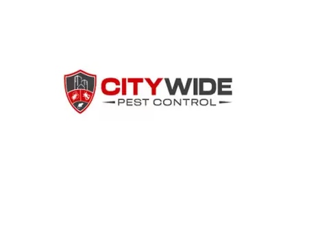 City Wide Bed Bug Control Melbourne