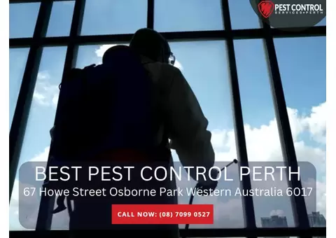 Pest Inspection Cost in Perth