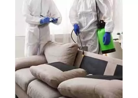 CBD Couch Cleaning Sunshine Coast - 1/6