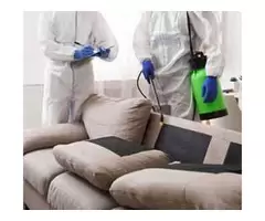 CBD Couch Cleaning Sunshine Coast