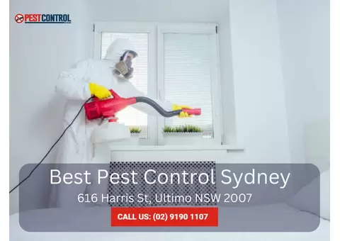 Get Commercial Pest Management Services in Sydney