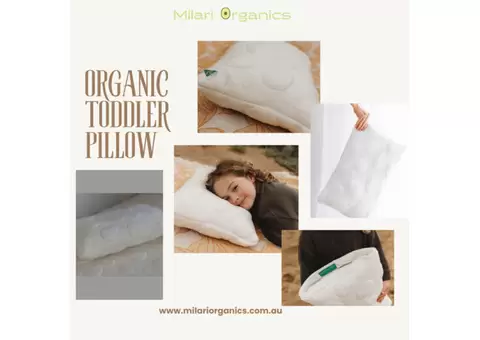 Affordable Toddler Pillow : A Budget-Friendly Options for Every Parents !