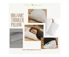 Affordable Toddler Pillow : A Budget-Friendly Options for Every Parents !