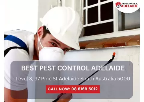 Adelaide’s Pest Exterminators – Fast & Reliable Service!