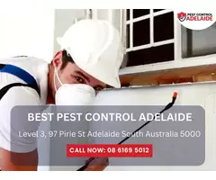 Adelaide’s Pest Exterminators – Fast & Reliable Service!