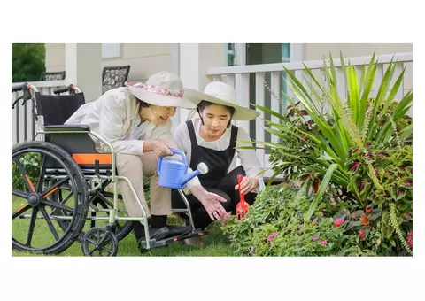 Get Premium NDIS Gardening and Yard Maintenance in Brisbane by Experts