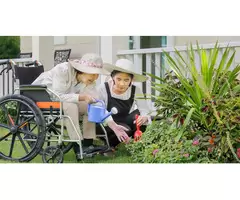 Get Premium NDIS Gardening and Yard Maintenance in Brisbane by Experts