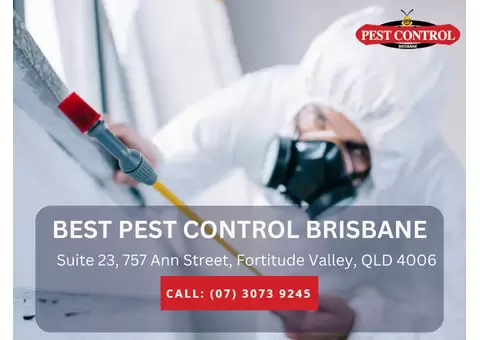 Pest Control for Businesses – Reliable Protection
