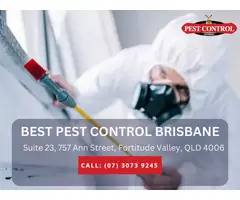 Pest Control for Businesses – Reliable Protection