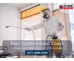 Home Insect Control Gold Coast – Effective Solutions