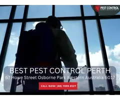 Pest Control Perth – Expert Services for Your Home