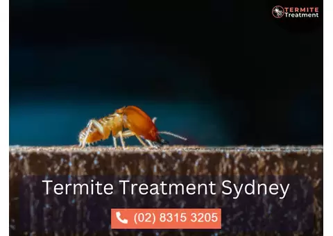 Emergency Pest Control in Sydney – Fast & Reliable