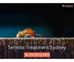 Emergency Pest Control in Sydney – Fast & Reliable