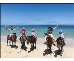 Natadola Beach Horse Ride Tour