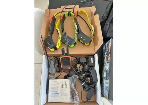 Garmin Alpha 100 and tt15 collar for sale - 1/4