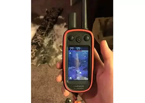 Garmin Alpha 100 and tt15 collar for sale - 2/4