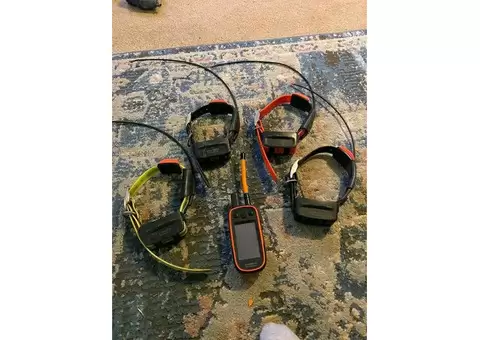 Garmin Alpha 100 and tt15 collar for sale - 3/4