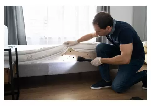 City Wide Bed Bug Control Adelaide