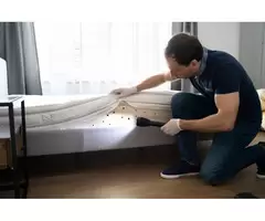 City Wide Bed Bug Control Adelaide