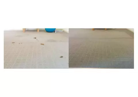 Find holistic cleanup solutions from the Best Carpet Cleaning Company in Adelaide