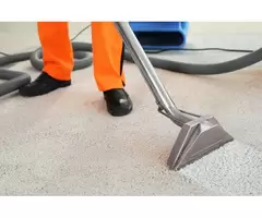 Get Premium Carpet Cleaning Services in Canberra by Skilled Cleaners