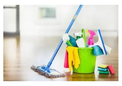 Best Carpet Cleaning Adelaide