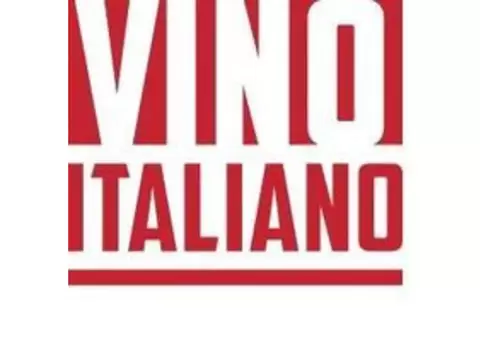 Exquisite Italian White Wine Available Now at Vino Italiano