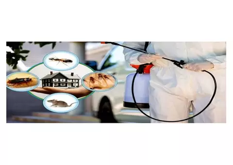 SureFire Pest Control - 1/4