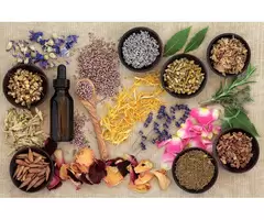 The Best Naturopathy Consultant in Sydney