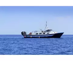 local fishing charters