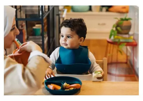 The Stay Steady Suction Plate: Perfect for Happy and Joyfull Mealtimes
