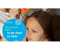 Say Goodbye to Nits with Expert Tips from Ashfield Day Care Centre