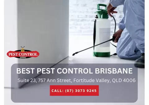 Residential Pest Control Brisbane – Protect Your Home from Pests!