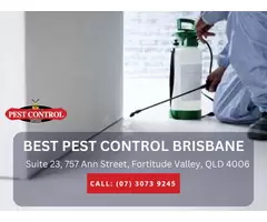 Residential Pest Control Brisbane – Protect Your Home from Pests!