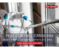 Mice Removal Canberra – Eliminate Mice from Your Property!