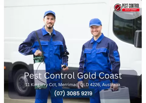Commercial Pest Removal Gold Coast – Protect Your Business from Pests!