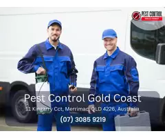 Commercial Pest Removal Gold Coast – Protect Your Business from Pests!