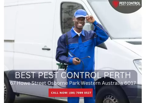 Pest Removal Perth – Fast and Professional Pest Control