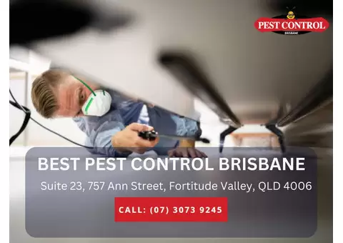 Trusted Pest Exterminators Adelaide – Call Today